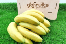 Cavendish Banana