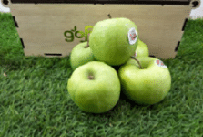 Granny Smith