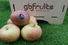 Honey Fuji Apple