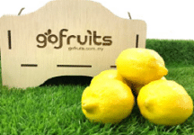 Lemon
