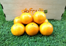 Nova Tangerine