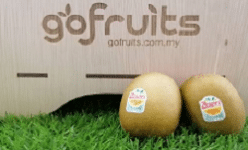 Zespri Gold Kiwi