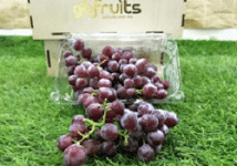 Candy Snap Red Seedless Grapes