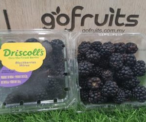 Blackberry
