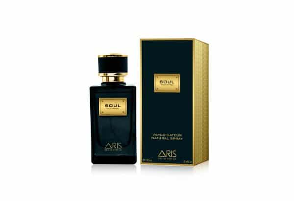 Aris Soul Men Pour Homme EDP For Men 100ML