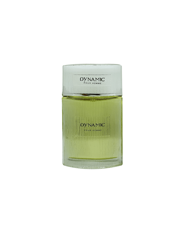 Zagara DLX Dynamic Pour Homme EDT For Men 100ML - Image 2