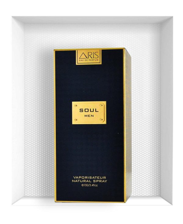 Aris Soul Men Pour Homme EDP For Men 100ML - Image 3