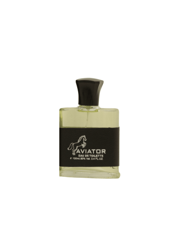 Tom & Darin Aviator Pour Homme EDP For Man 100ML - Image 2