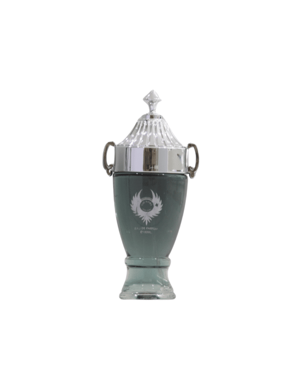 Tom & Darin Victory Pour Homme EDP For Man 100ML - Image 2